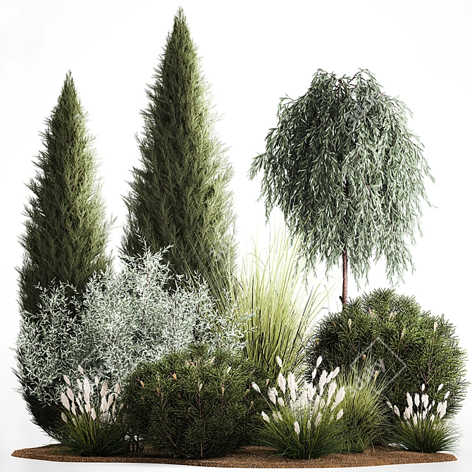 Alpine Greenery Collection: Cypress, Thuja, Olive Bushes 3D model image 1