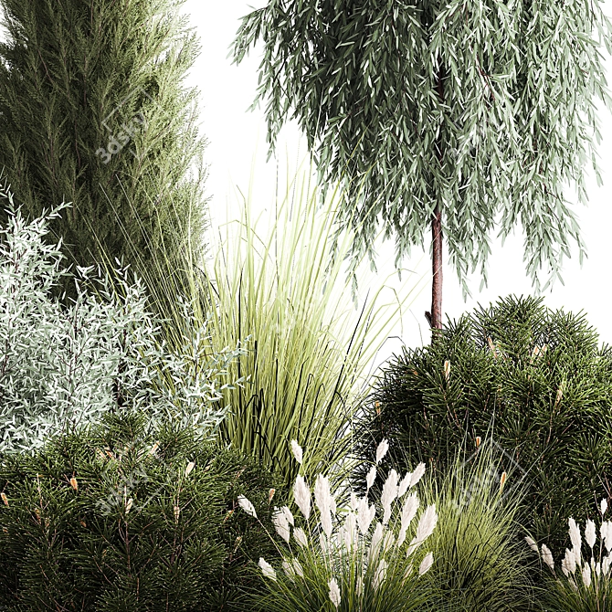 Alpine Greenery Collection: Cypress, Thuja, Olive Bushes 3D model image 3