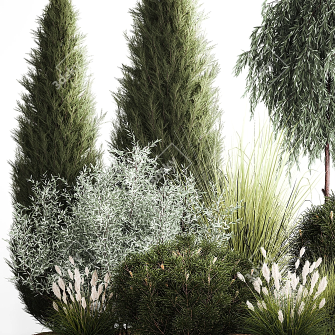 Alpine Greenery Collection: Cypress, Thuja, Olive Bushes 3D model image 4