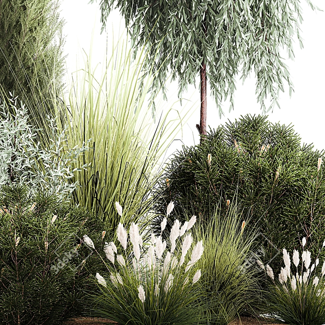 Alpine Greenery Collection: Cypress, Thuja, Olive Bushes 3D model image 5