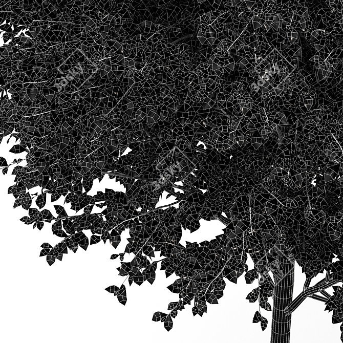 Lush 3D Tree Models Bundle 3D model image 6