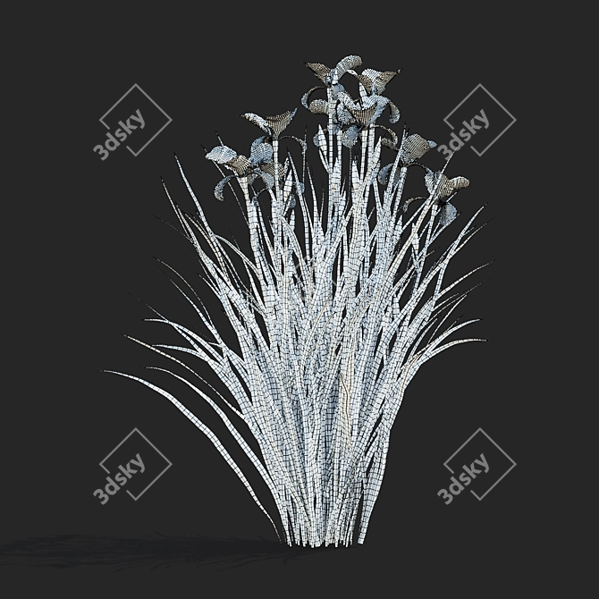 Siberian Iris Flower Collection | 3D Models 3D model image 5