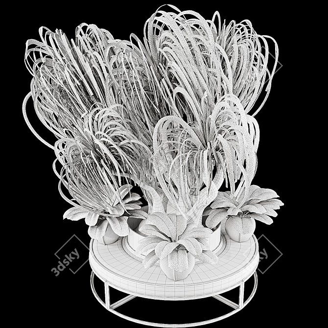 Boho Ponytail Palm Tree Set 3D model image 7