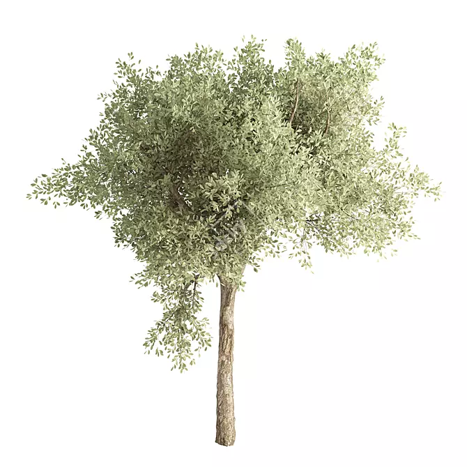 Dimensional Centimeters Tree No.19 3D model image 1