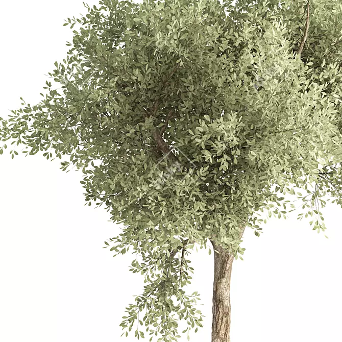 Dimensional Centimeters Tree No.19 3D model image 2