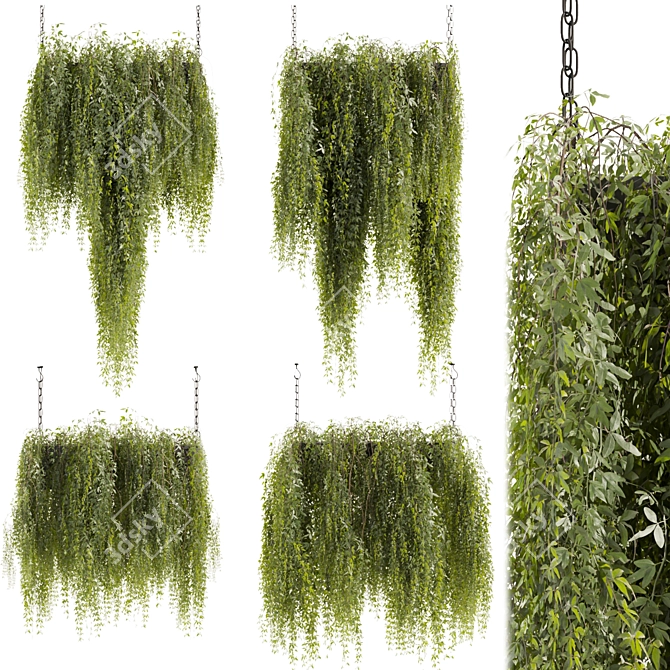 High-Quality Hanging Plant Model 3D model image 1