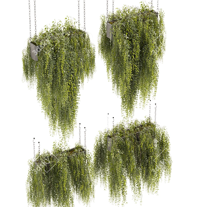 High-Quality Hanging Plant Model 3D model image 2