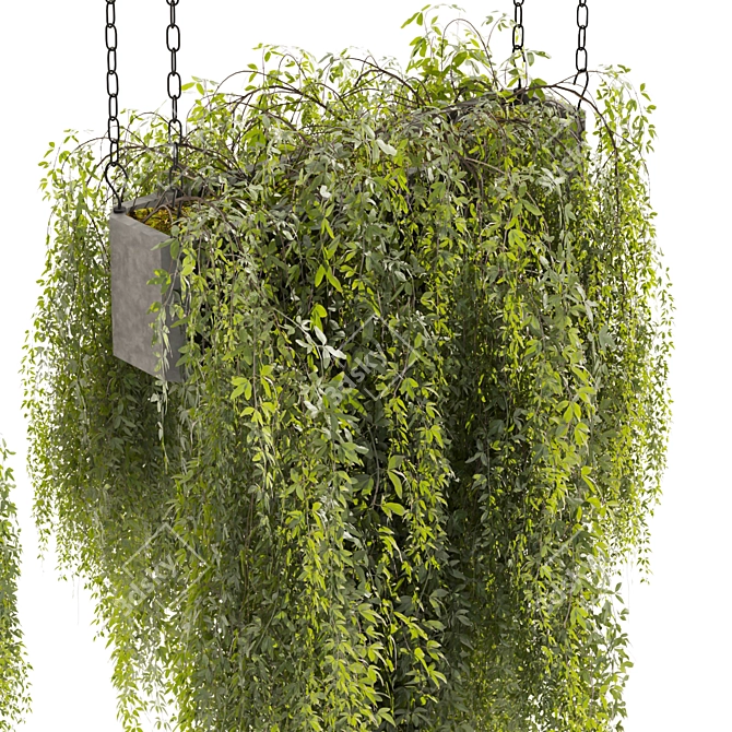 High-Quality Hanging Plant Model 3D model image 3