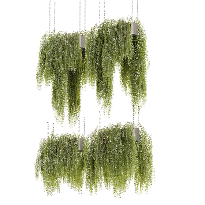 High-Quality Hanging Plant Model 3D model image 4