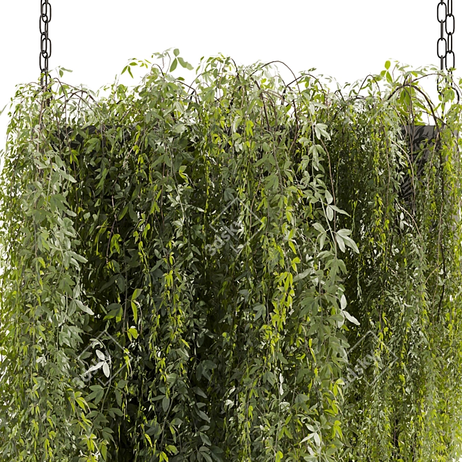 High-Quality Hanging Plant Model 3D model image 5