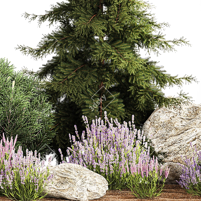 Alpine Rockery Plant Collection 3D model image 4