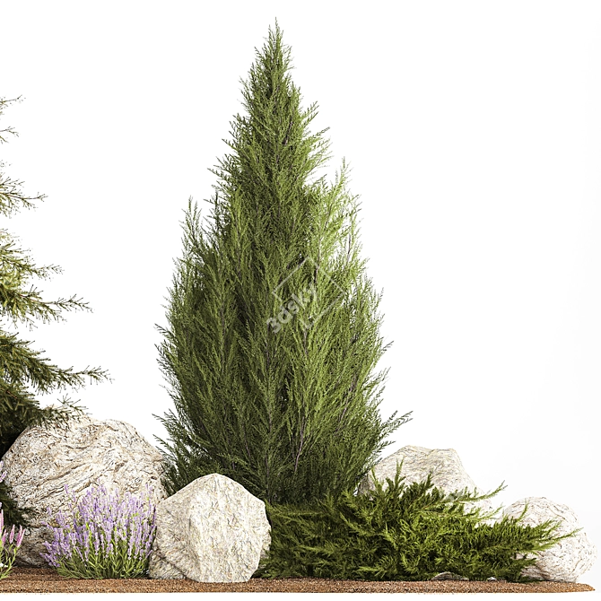 Alpine Rockery Plant Collection 3D model image 5