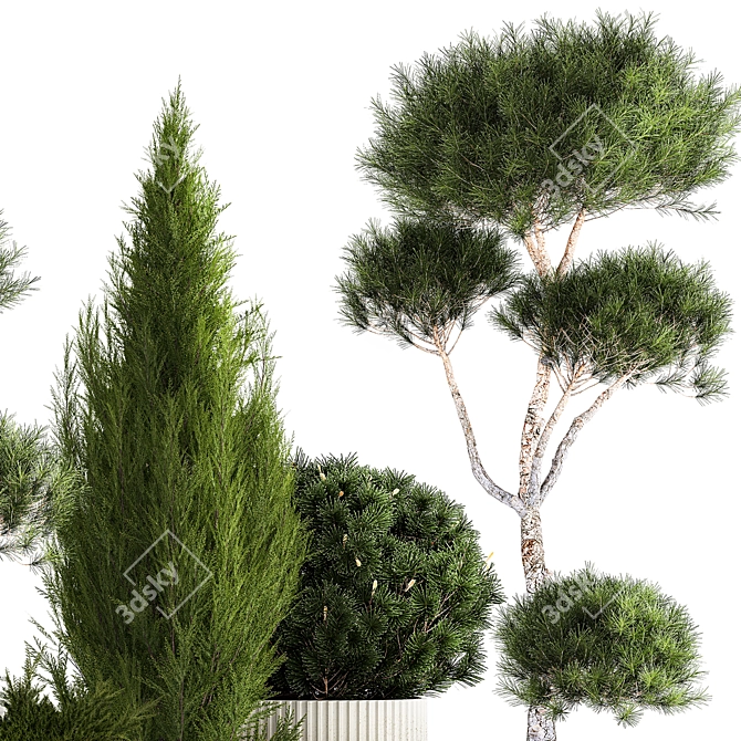 Modern Concrete Plant Collection 3D model image 2