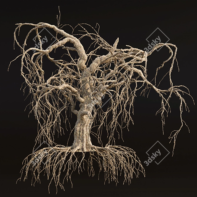 Grieving Willow Tree 3D Model 3D model image 4