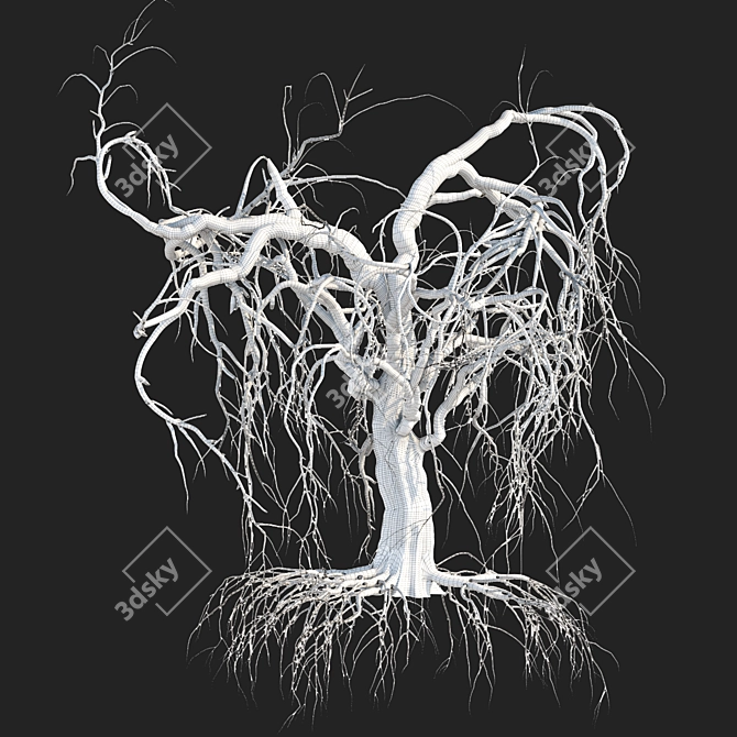 Grieving Willow Tree 3D Model 3D model image 6