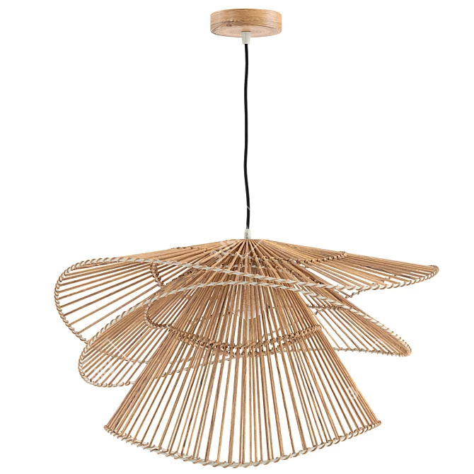 Eco-friendly Bamboo Pendant Lights 3D model image 4