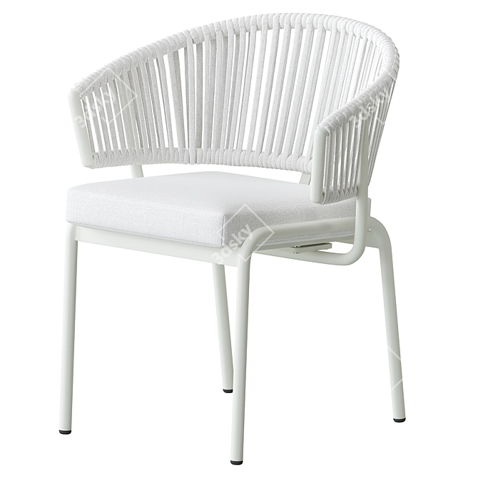 Modern Ivy Dining Chair in Natural 3D model image 2