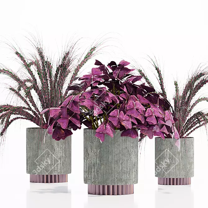 Exotic Indoor Plant Set 3D model image 3