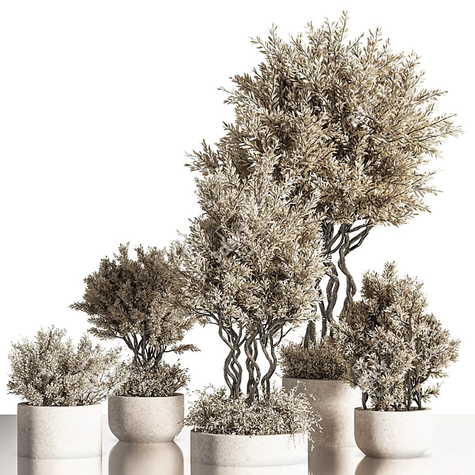 Modern Indoor Plant Set 40 3D model image 1