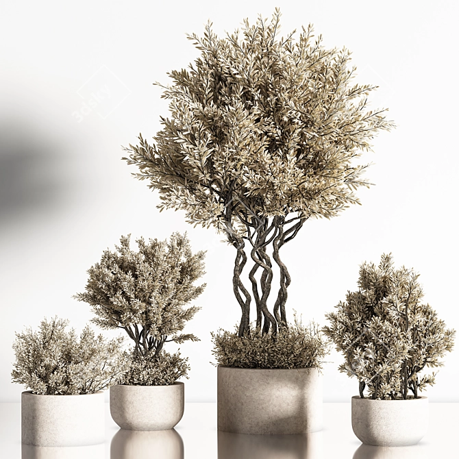 Modern Indoor Plant Set 40 3D model image 2