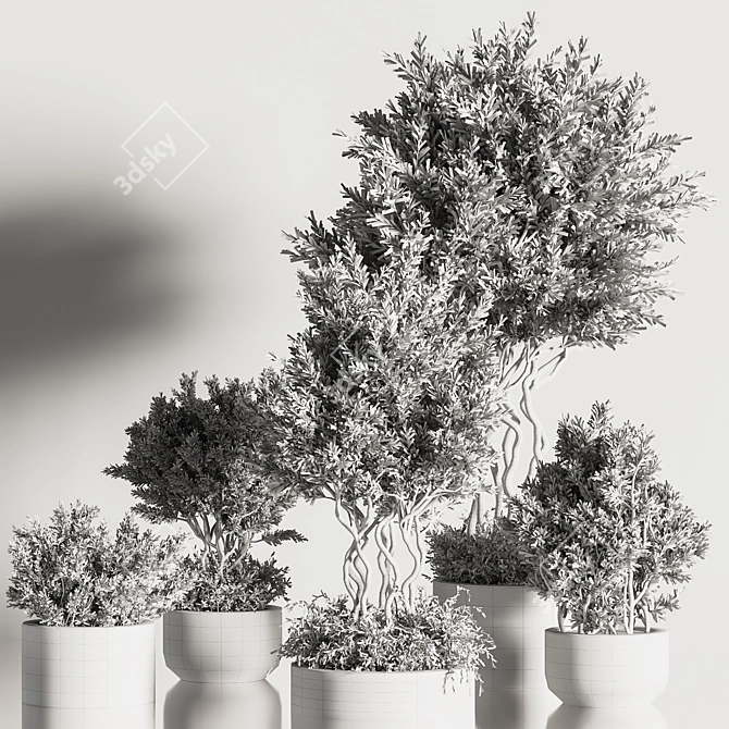 Modern Indoor Plant Set 40 3D model image 5