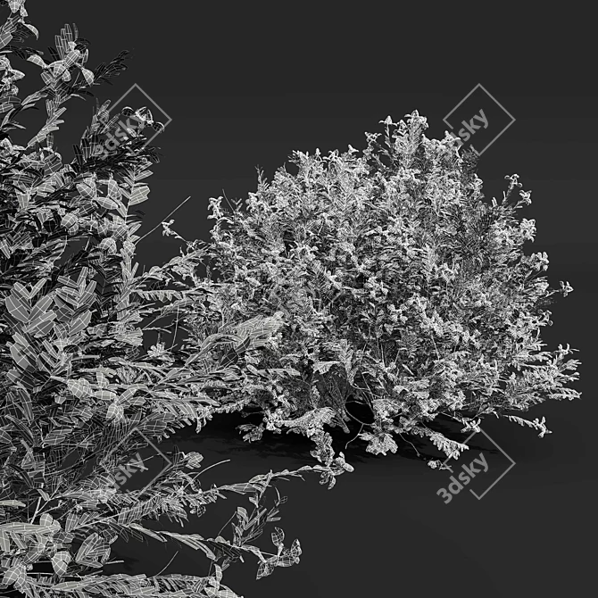 Zistrose & Coronilla 3D Flower Models 3D model image 6
