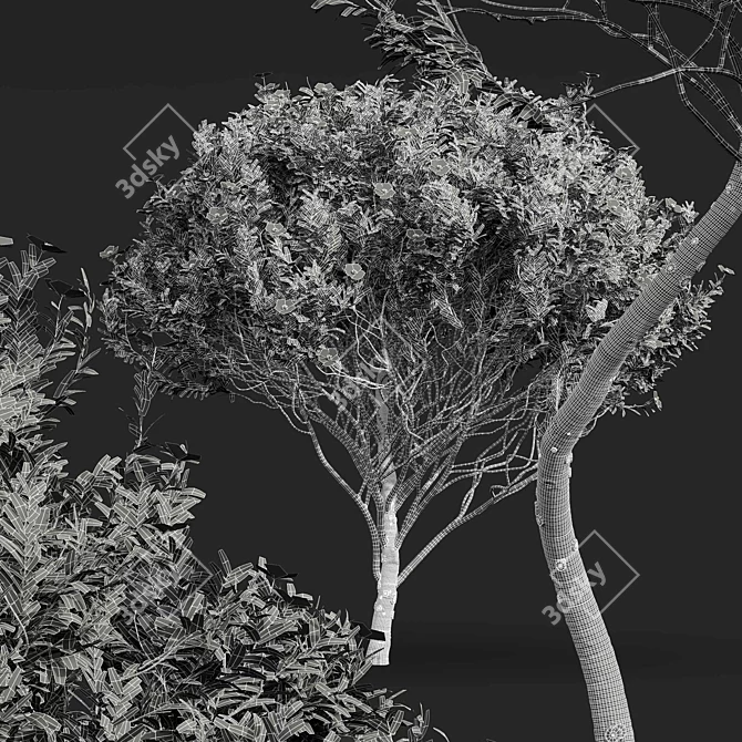 Zistrose & Coronilla 3D Flower Models 3D model image 7