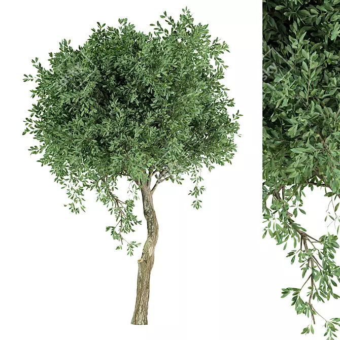 Unique Tree No.20 Sculpture 3D model image 1