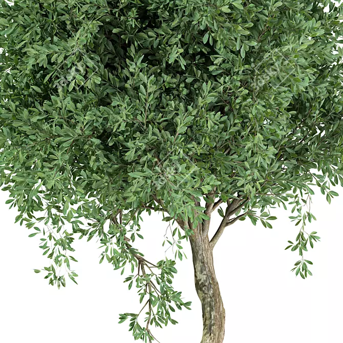 Unique Tree No.20 Sculpture 3D model image 2