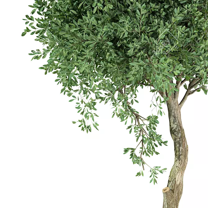 Unique Tree No.20 Sculpture 3D model image 3