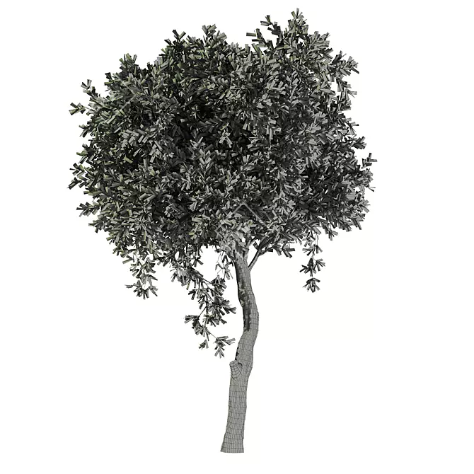 Unique Tree No.20 Sculpture 3D model image 4