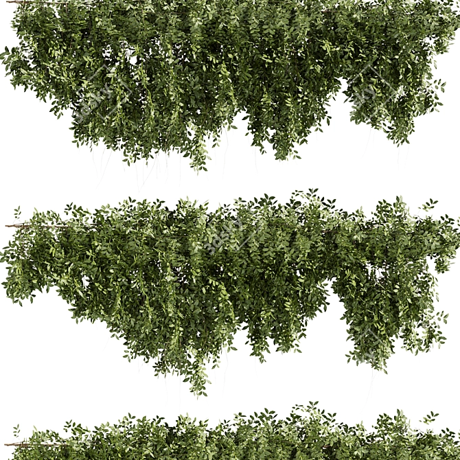 High-Quality Outdoor Bush Ivy Model 3D model image 3