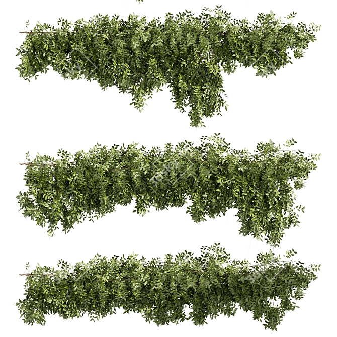 High-Quality Outdoor Bush Ivy Model 3D model image 5