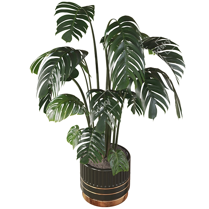 Deluxe Swiss Cheese Plant Pot 3D model image 2
