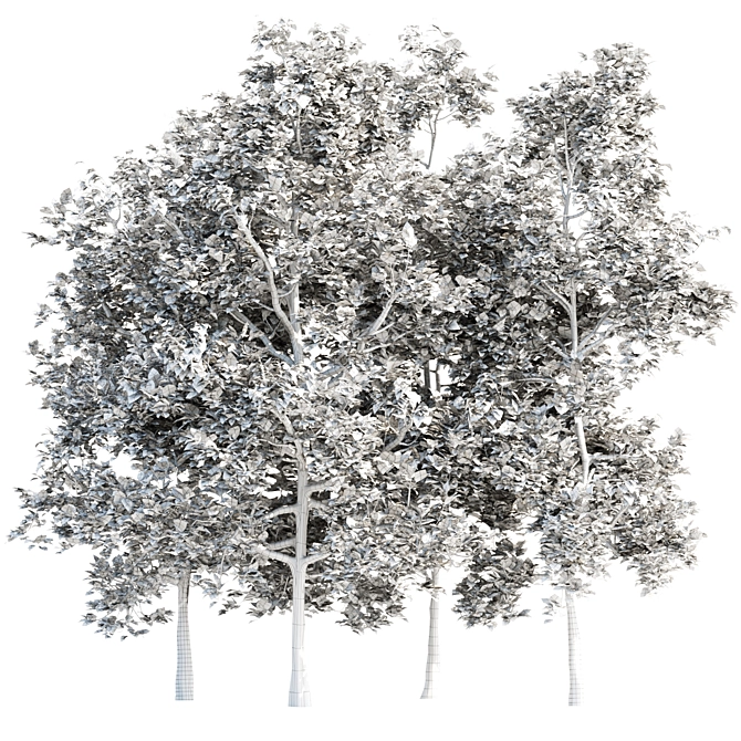 Arboreal Assortment 189 3D model image 6