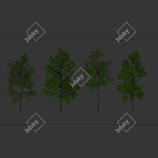 Arboreal Assortment 189 3D model image 7