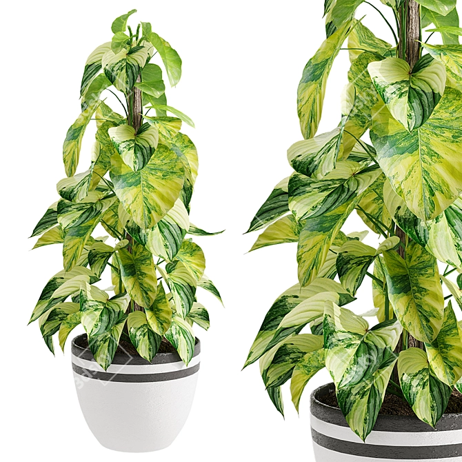 Golden Pothos Model for 3D 3D model image 1