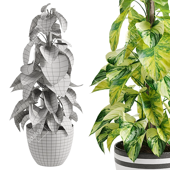 Golden Pothos Model for 3D 3D model image 2