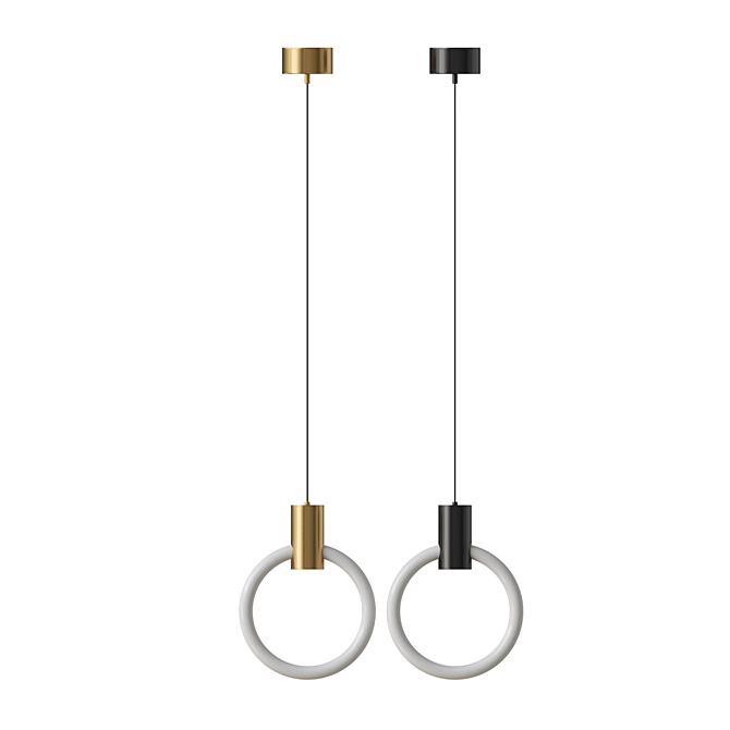 Brass Ring LED Pendant Light 3D model image 3