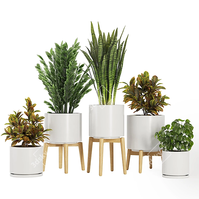 Modern Indoor Plant Set V5 3D model image 1