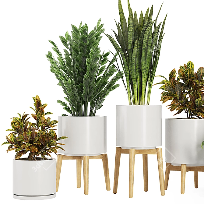 Modern Indoor Plant Set V5 3D model image 2