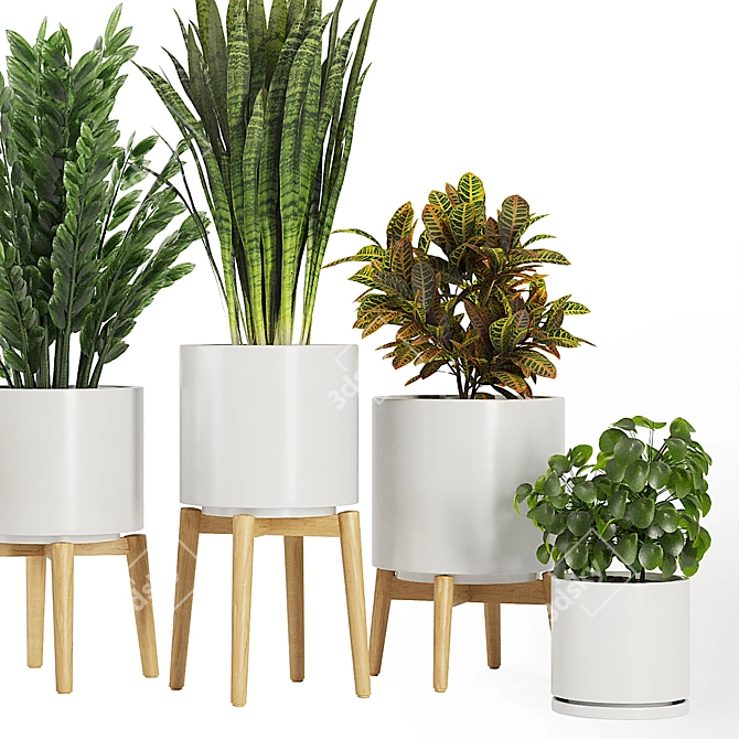 Modern Indoor Plant Set V5 3D model image 3