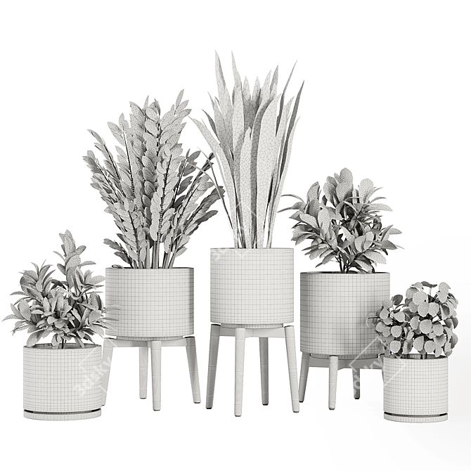 Modern Indoor Plant Set V5 3D model image 4