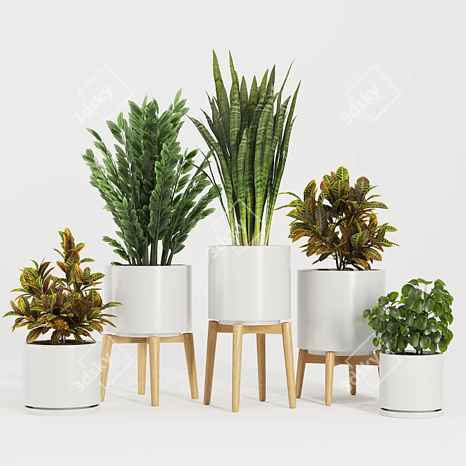 Modern Indoor Plant Set V5 3D model image 5