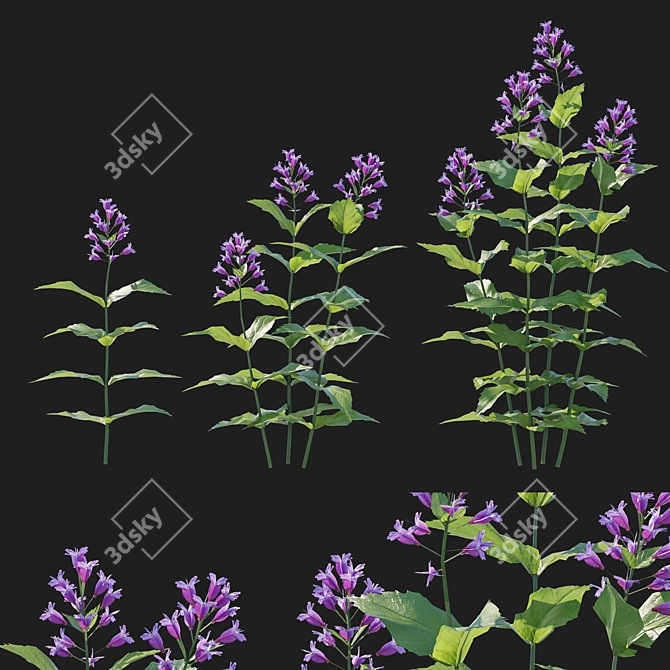 Pink Prairie Penstemon 3D Model 3D model image 1