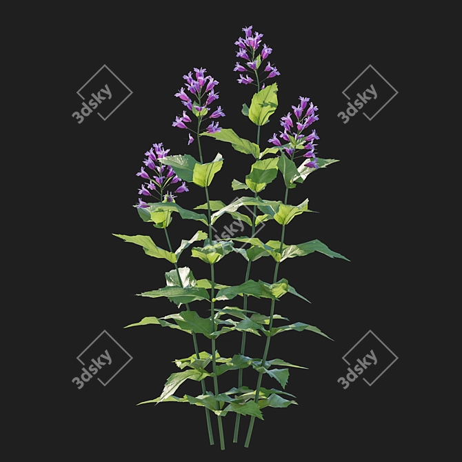 Pink Prairie Penstemon 3D Model 3D model image 2