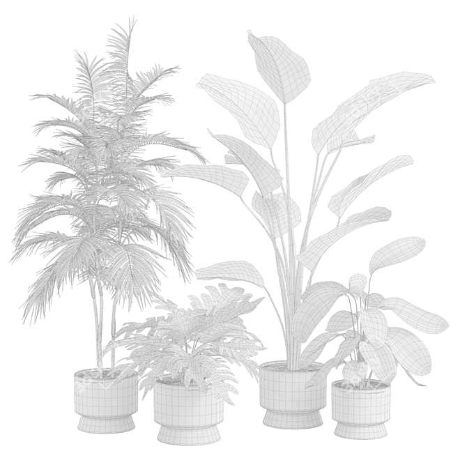 Exotic Indoor Plants Selection Pack 3D model image 3