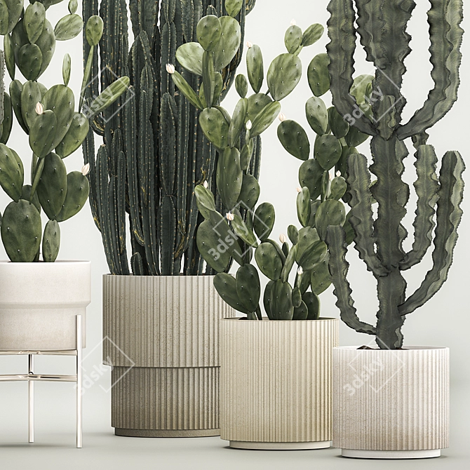 Desert Cacti Collection in Concrete Planters 3D model image 3