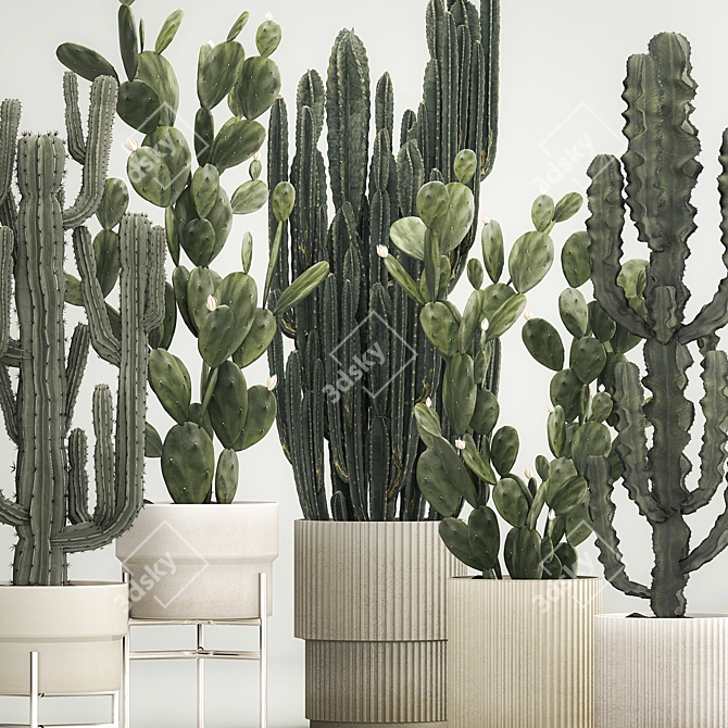 Desert Cacti Collection in Concrete Planters 3D model image 5