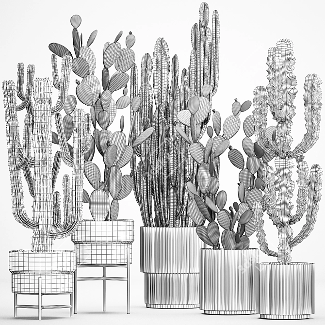 Desert Cacti Collection in Concrete Planters 3D model image 6